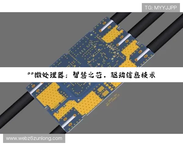 掌握尊龙凯时最新下载技巧，提升你的游戏体验