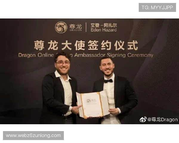 尊龙z6登录下载全攻略，确保玩家顺利进入游戏体验精彩内容