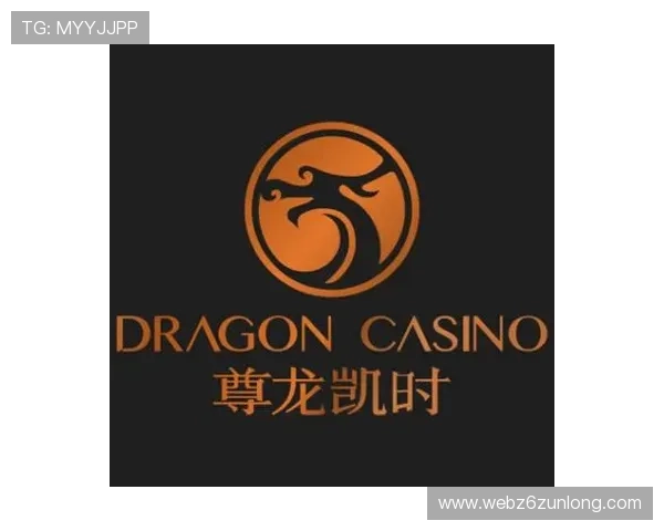 尊龙凯时人生就是搏网页版详解如何在平台上实现稳健盈利与风险控制策略