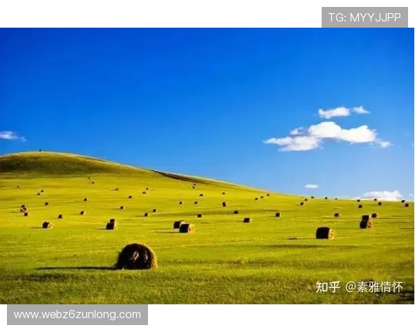 了解至尊国际的合作伙伴与品牌背书，增强信任感与安全感的双重保障