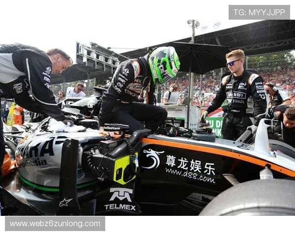 透视尊龙集团官网的市场策略与未来规划